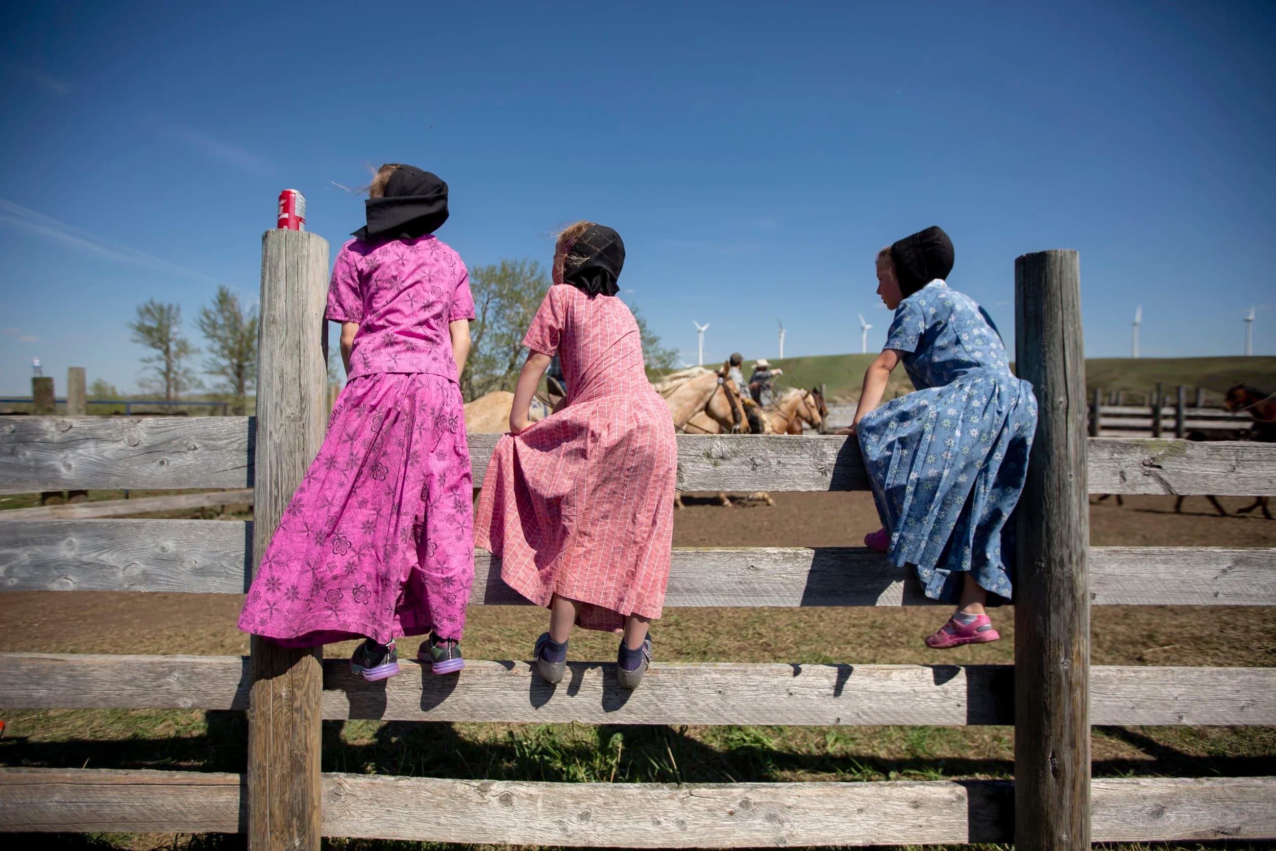 Hutterite Girls on Fence