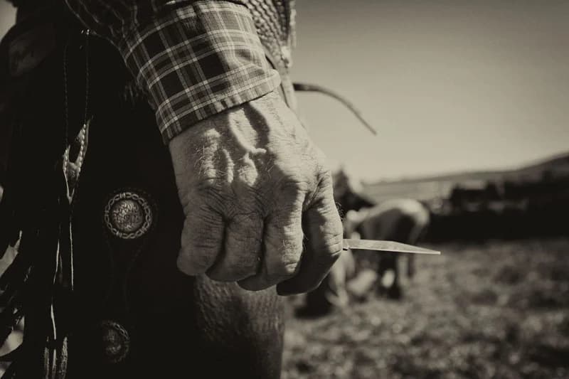 western7