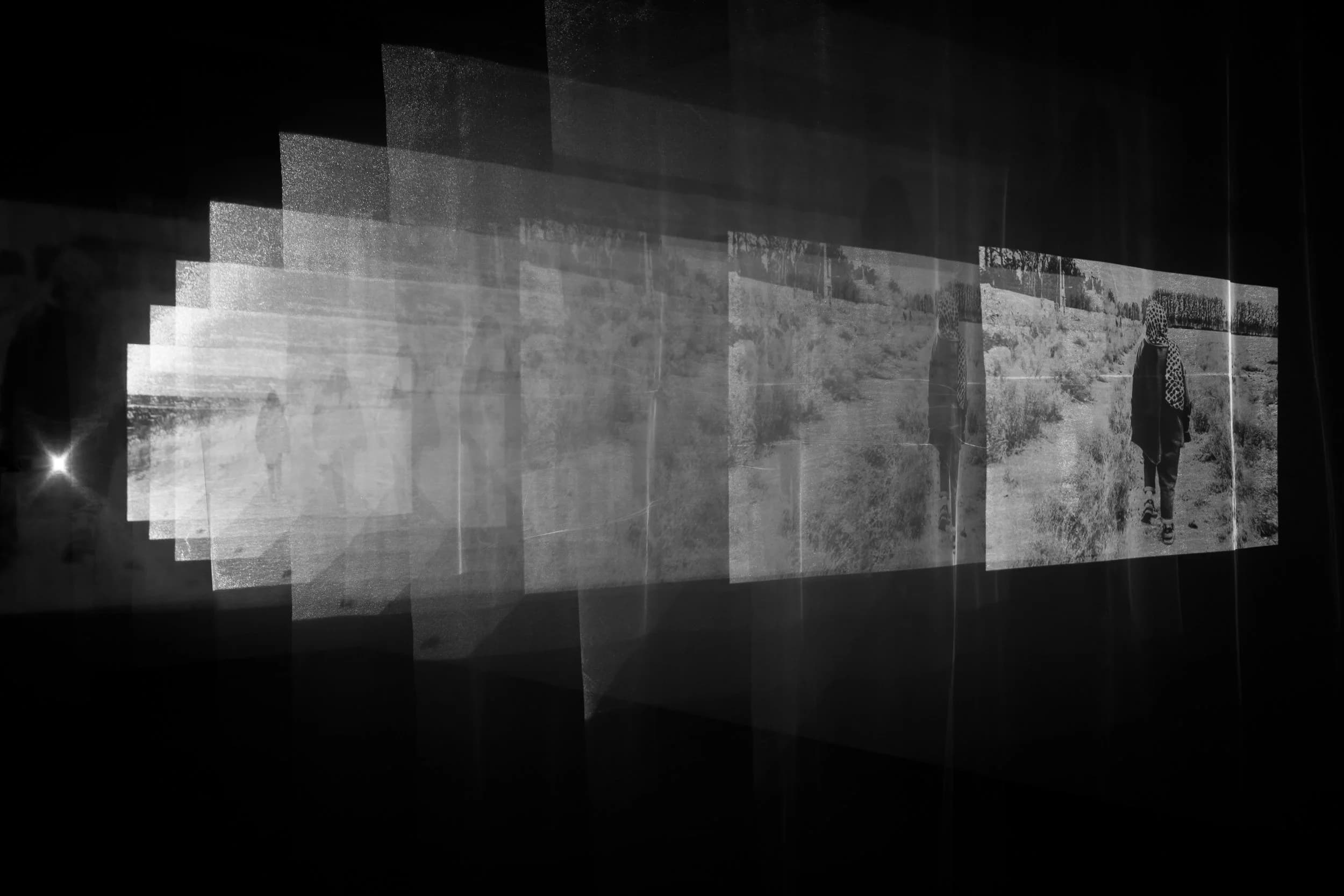IMG 2623