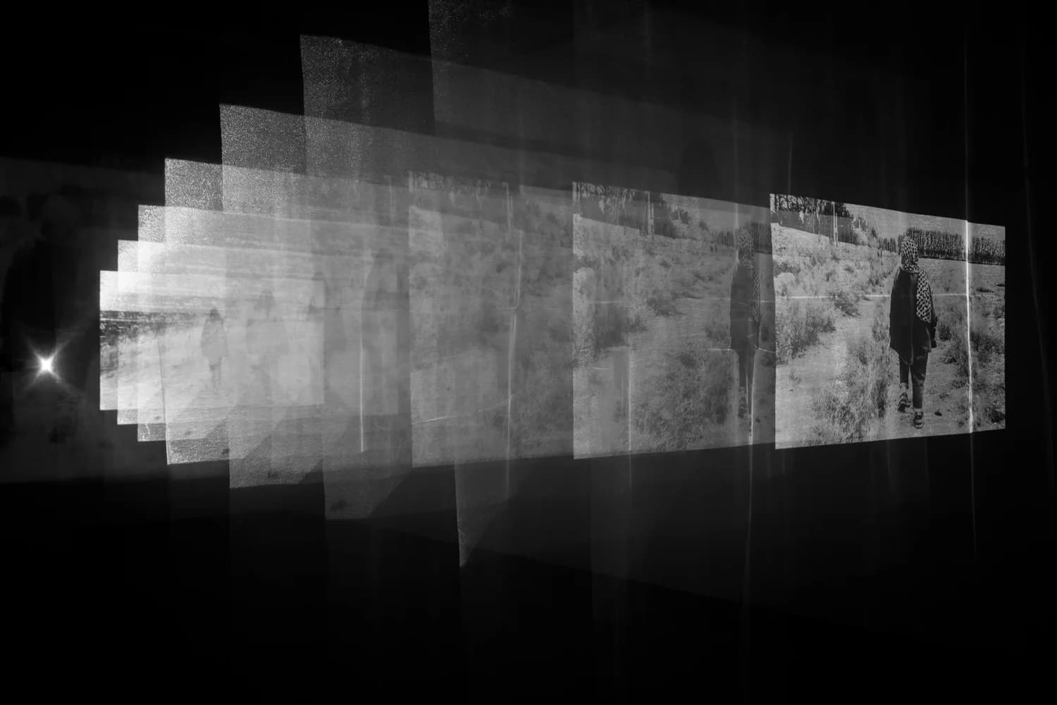 IMG 2623