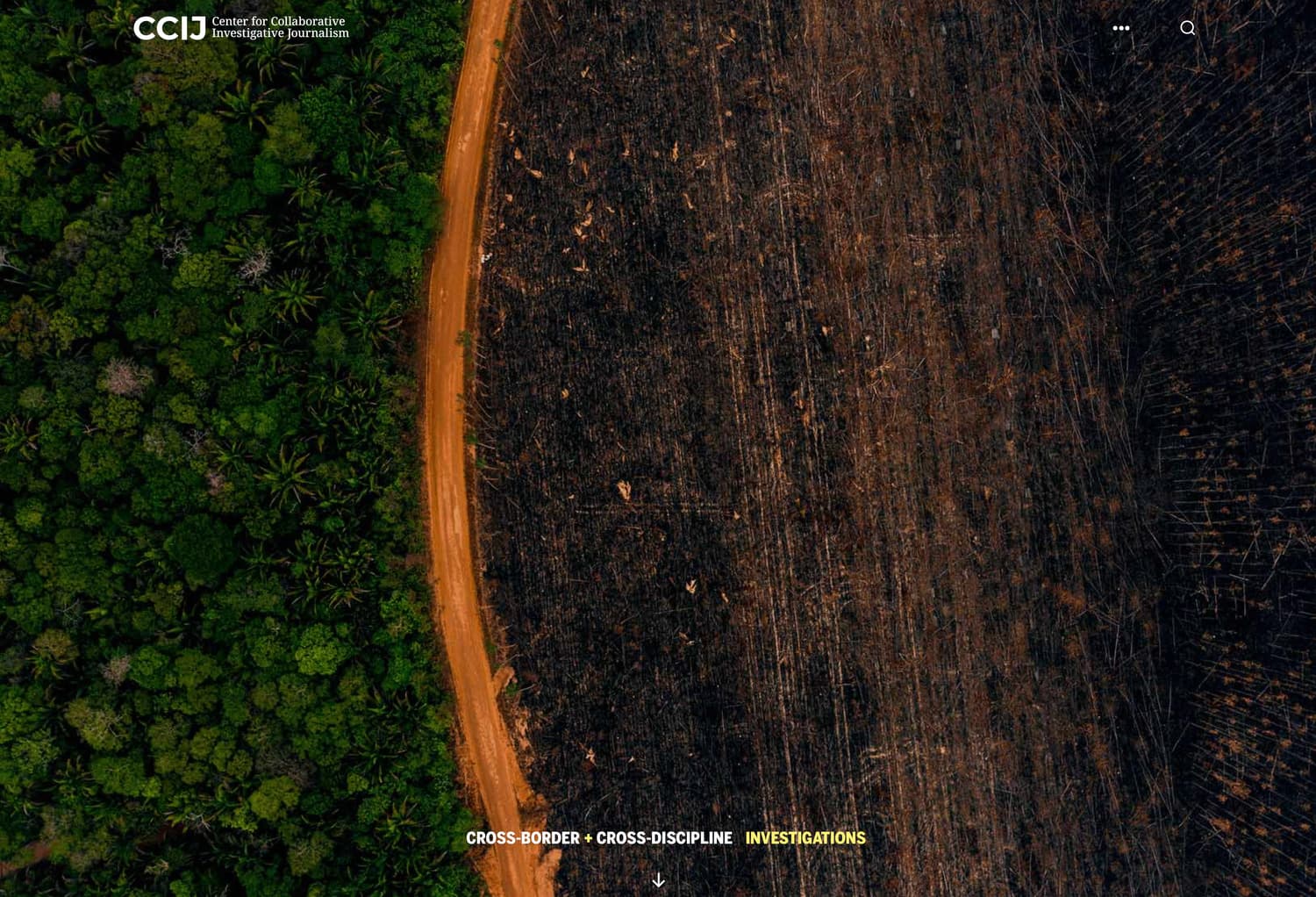 ccij homepage 05