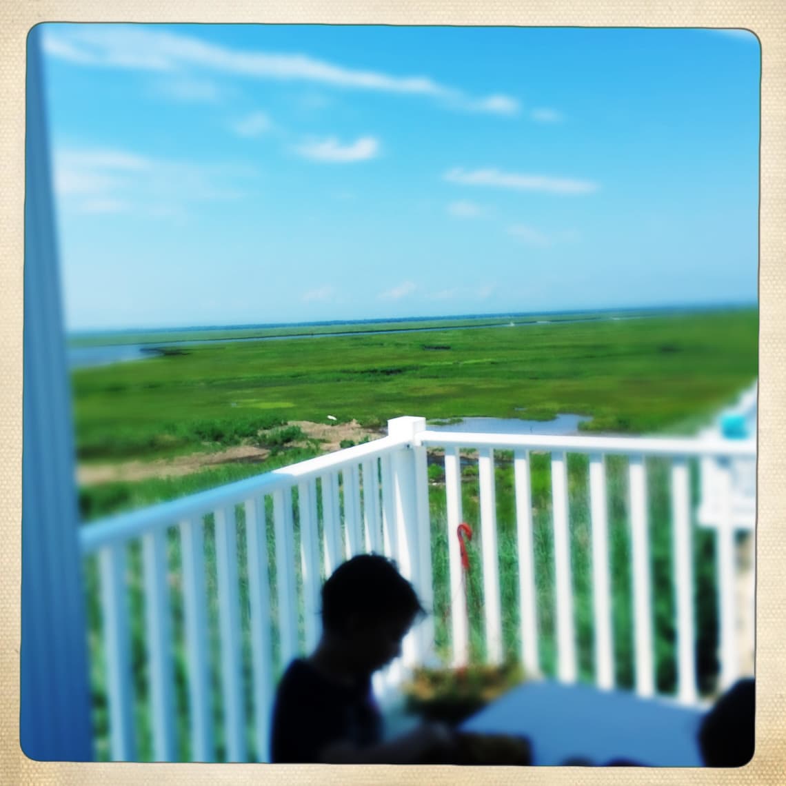 hodgkins 2019 18